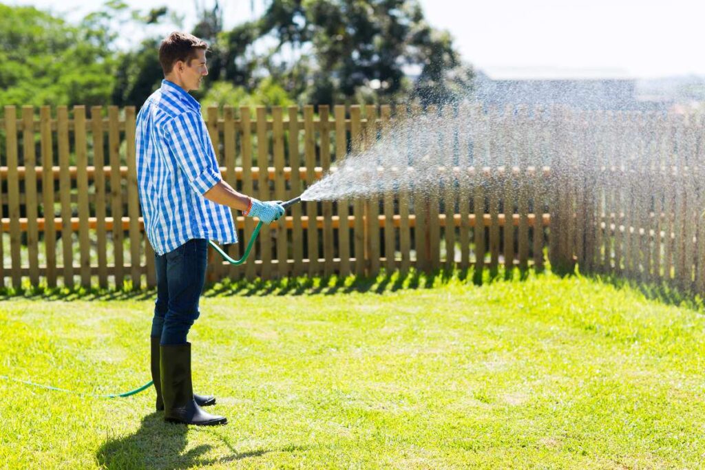 A person in a blue plaid shirt watering a lush green lawn with a hose, standing in front of a wooden fence.