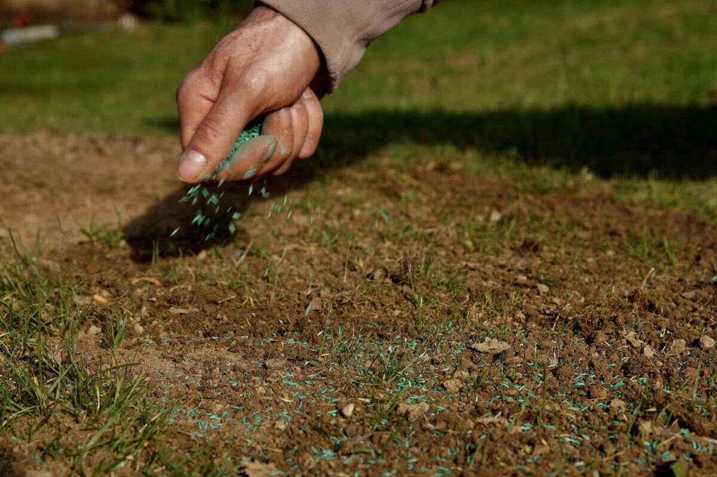What is Overseeding?
