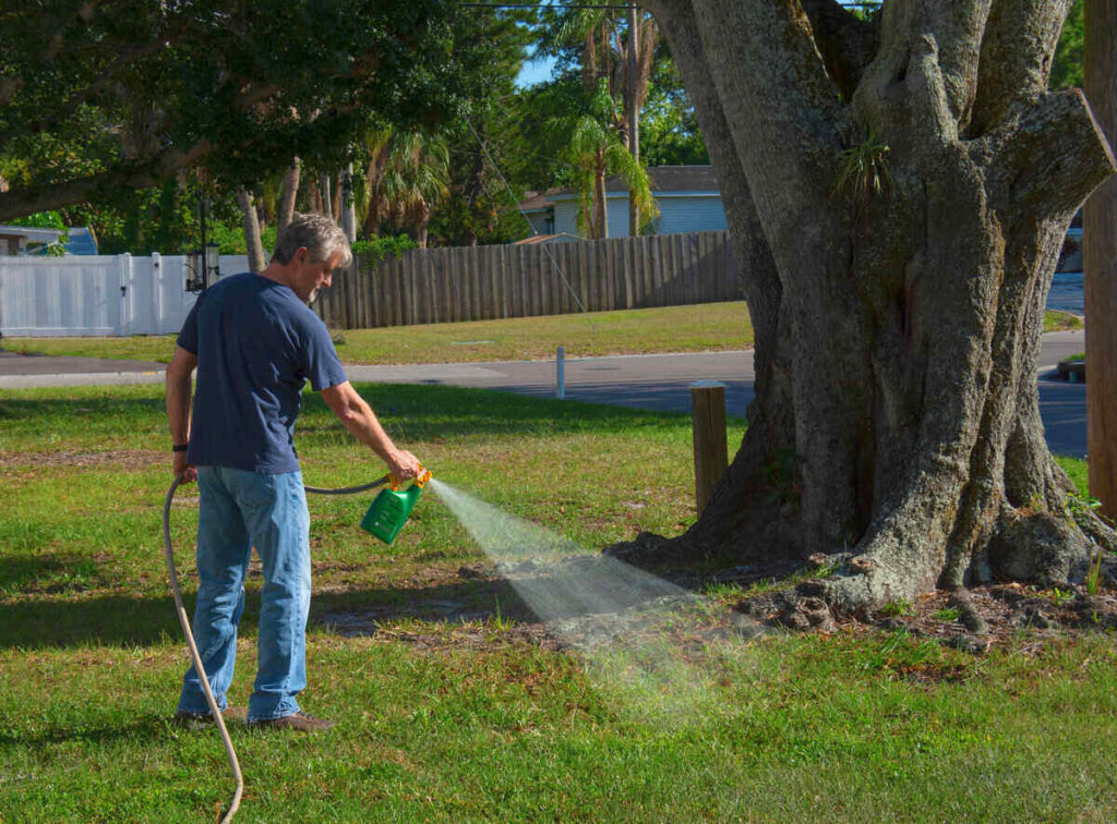 When to Water After Applying Weed and Feed