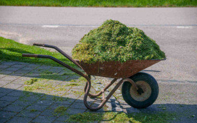Ways To Use Grass Clippings as Mulch