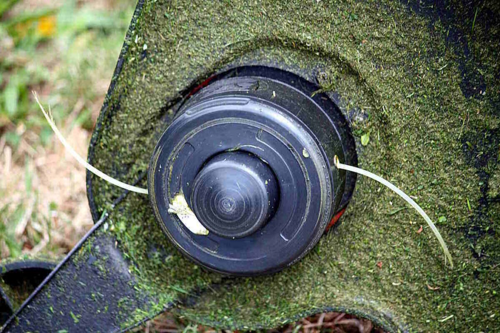 How to Weed Eat Your Lawn Like a Pro