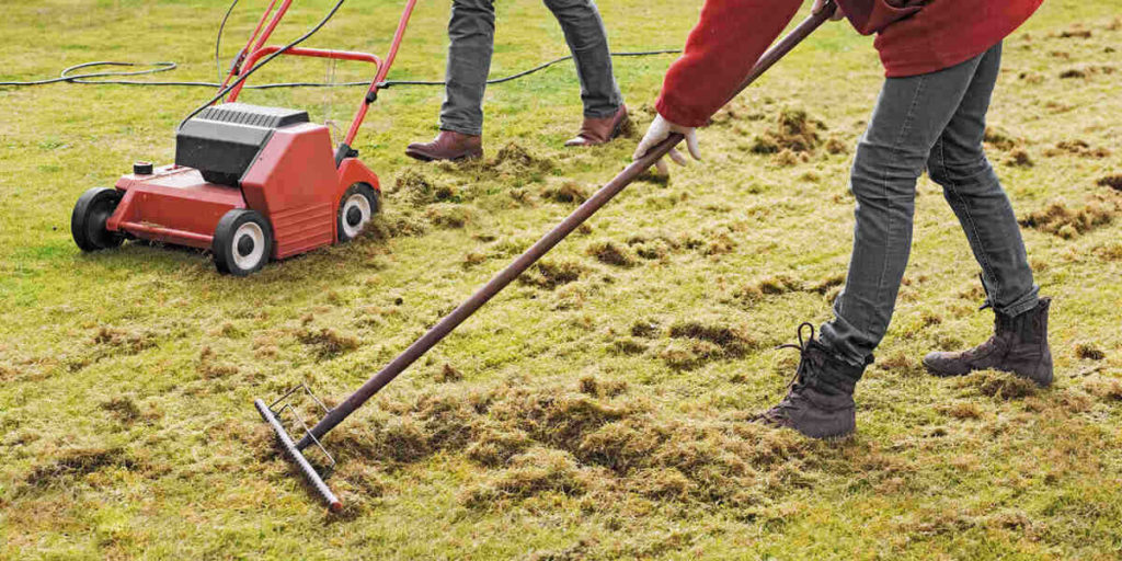 What is Dethatching?
