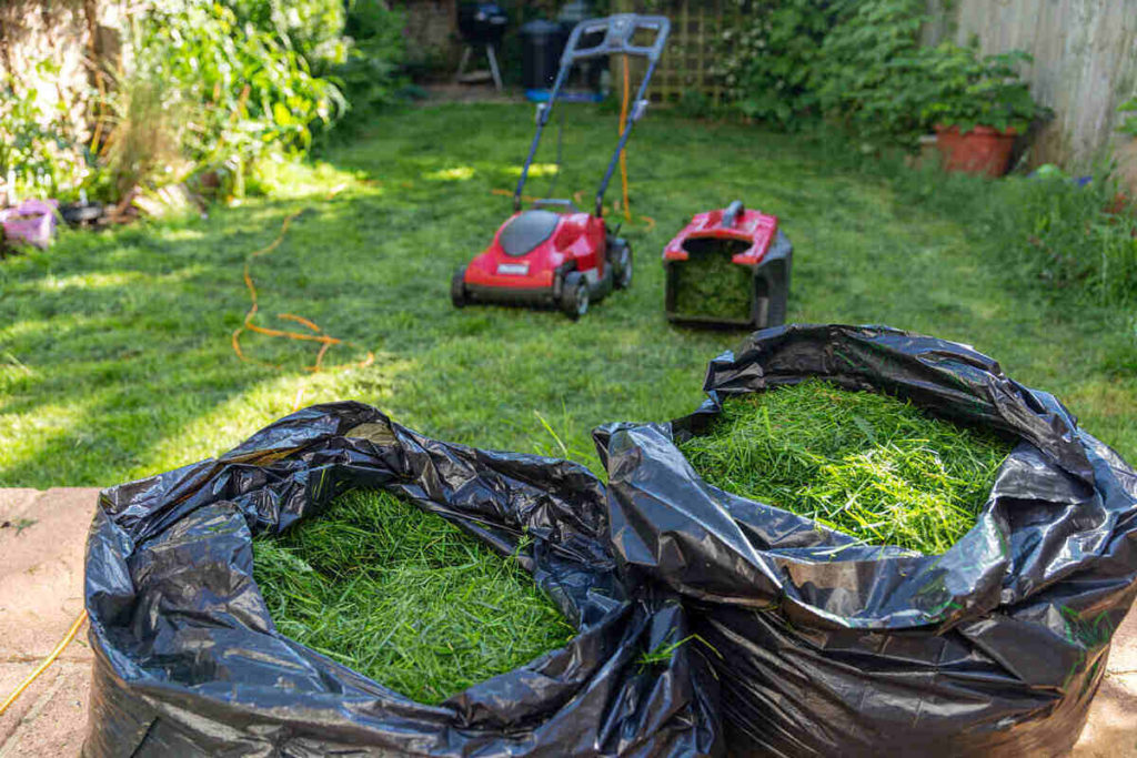 Grasscycle Bagging vs. Mulching Grass Clippings