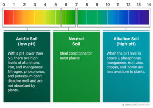 How to Change Your Soil pH