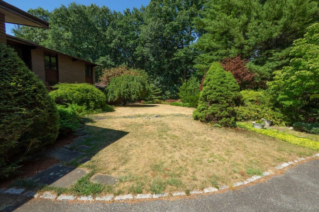 How to Maintain Your Lawn During a Drought