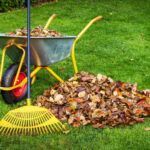 How Much Does Leaf Removal Cost in 2026? A yellow rake leaning against a yellow wheelbarrow filled with fallen leaves, with a large pile of brown autumn leaves on a bright green lawn