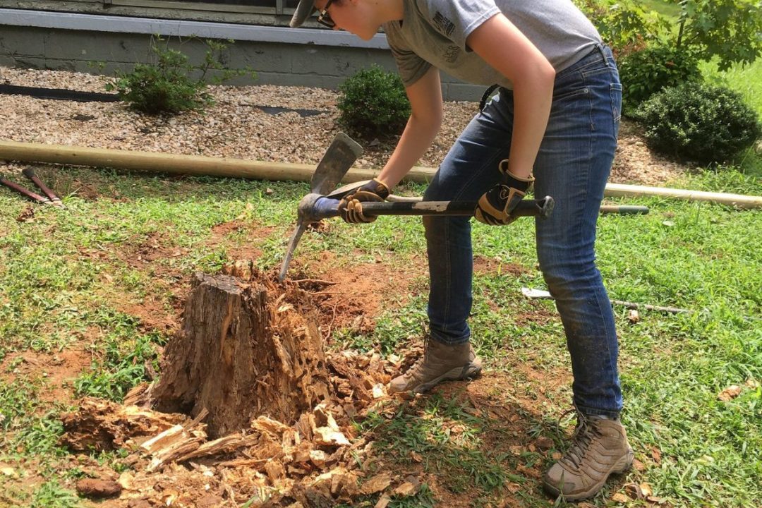 How Much Does Tree Removal Cost in 2026?