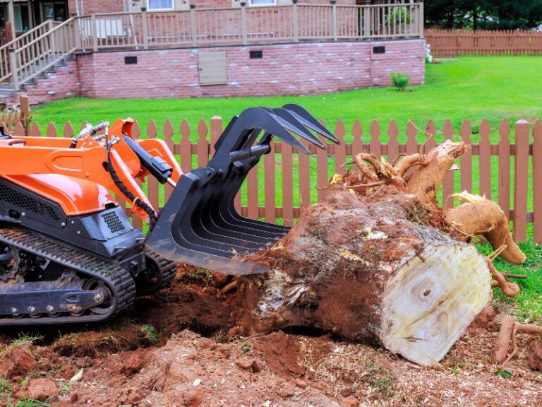 Picture of How Much Does Stump Grinding Cost in 2026?