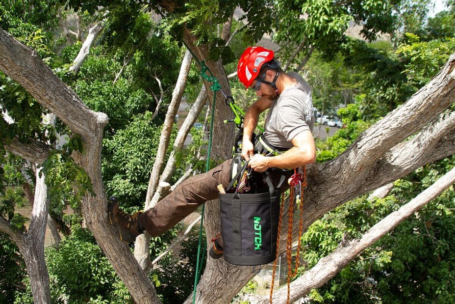 How Much Does Tree Removal Cost in 2026?