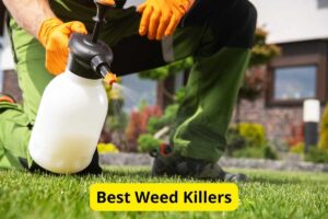 The 12 Best Weed Killers of 2026 [Reviews]