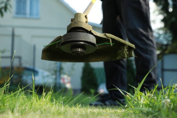 Best Trimmers for Lawn Care Pros