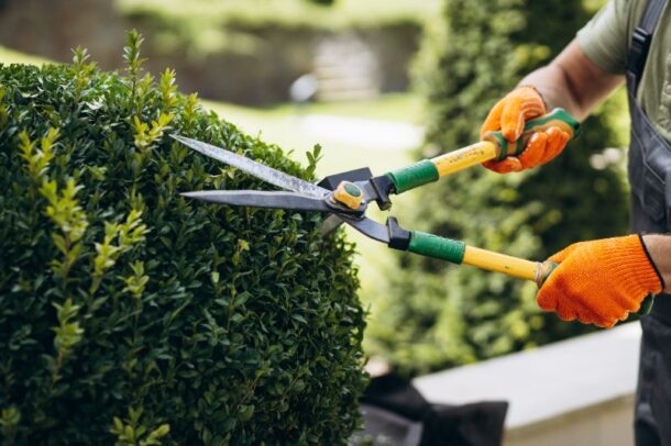 Trimming Fs Difference Between Pruning and Trimming