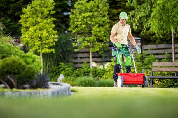 How Long After Overseeding Can I Mow? (By Grass Type)