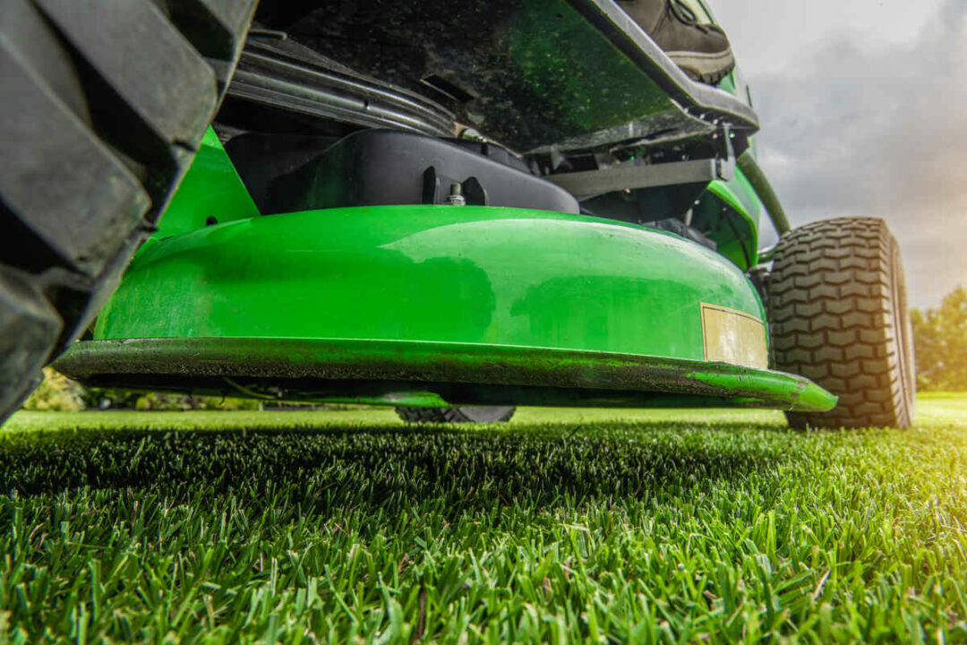 Should You Mow Your Lawn Before Fertilizing?