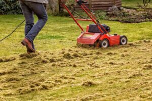 Liquid Dethatching for Your Lawn: Does It Really Work?