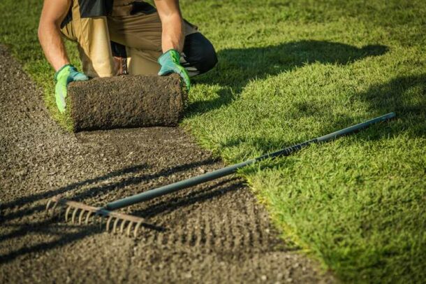 What to Plant Above Buried Utility Lines in Your Yard