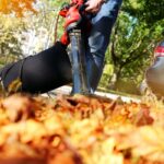 Fall Lawn Care Tips A man collects autumn fallen leaves with a leaf blower and bag.