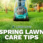 Spring Lawn Care: 12 Essential Steps to Green Up Your Lawn A gardener pushes a lawn mower through a green lawn during spring time.