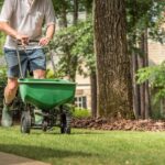 5 Ways to Apply Fertilizer to Your Lawn and Garden Person spreading fertilizer with push broadcast spreader across green lawn in suburban yard, trees and house blurred background, sunny day.