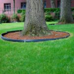 How to Mow Around Trees, Flower Beds, and Landscaping Trunk circles with organic mulch around garden plants and trees.