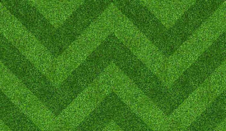 Diagonal Turf Pattern 6 Lawn Mowing Patterns and How to Create Each One
