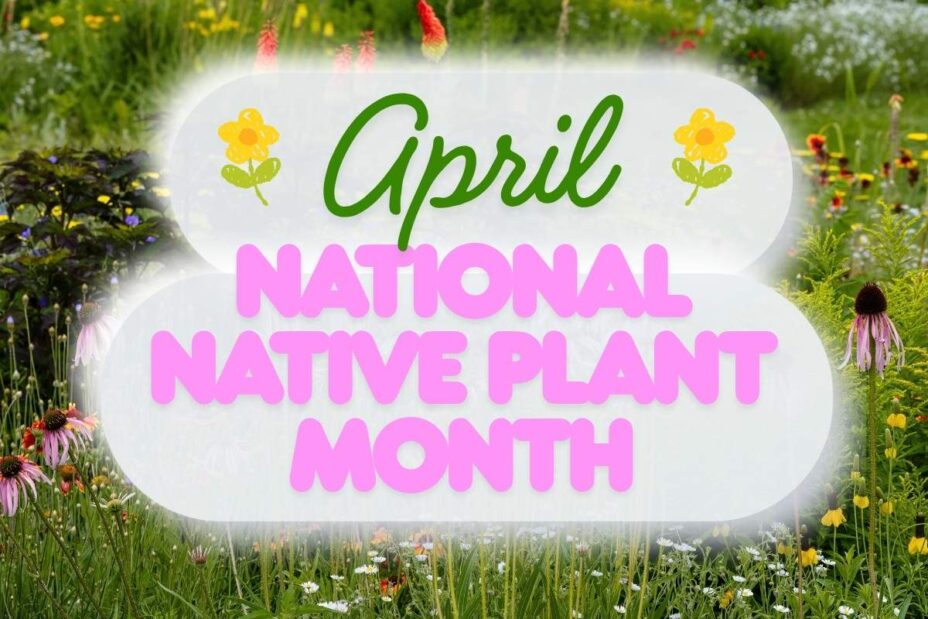 April Native April Is Now National Native Plant Month β Here's Why It Matters for ...
