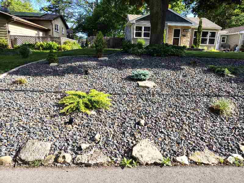 A xeriscape front yard slope covered with dark gravel and scattered ornamental shrubs and evergreens, replacing a traditional grass lawn.