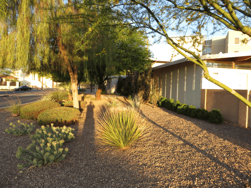 A xeriscaped yard at a home in Las Vegas