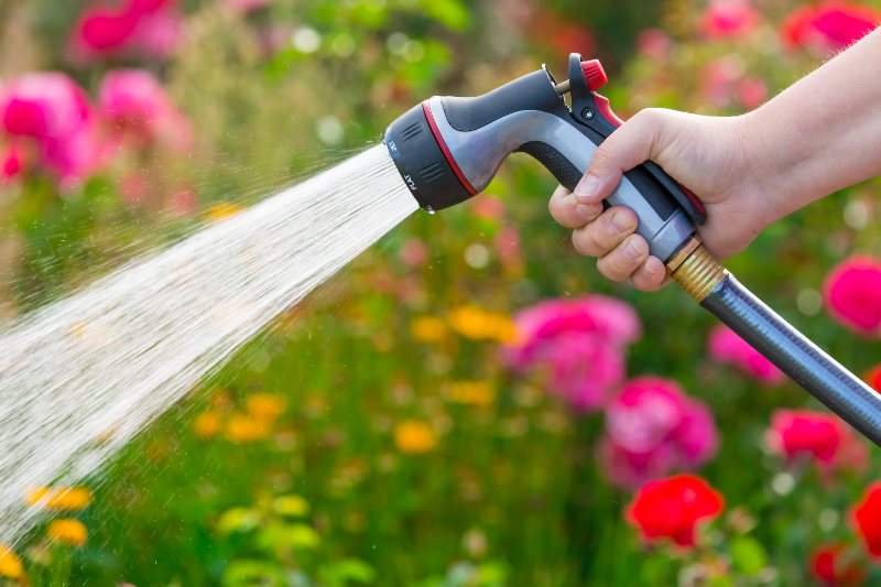 A person watering garden flowers using a garden hose