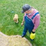 Pet-Safe Weed Killer: What Works, What to Avoid, and How to Protect Your Pets A man spraying his grass lawn with a sprayer while his dog watches nearby in the yard.