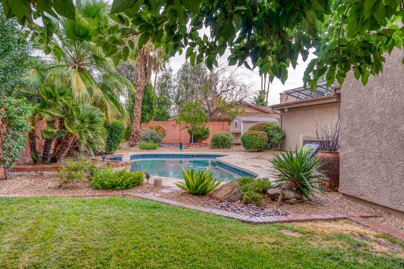 A tropical home with a backyard swimming pool surrounded by palm trees and lush green landscaping