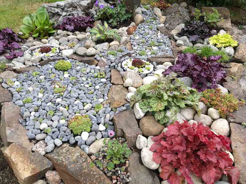 Decorative rock garden with river stones, succulents, heuchera, hostas, and colorful perennials