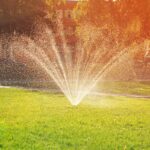 When Is the Best Time to Water Your Lawn in Hot Weather? A lawn sprinkler spraying water in a fan pattern over a lush green lawn on a sunny summer day, with warm golden sunlight and trees in the background.