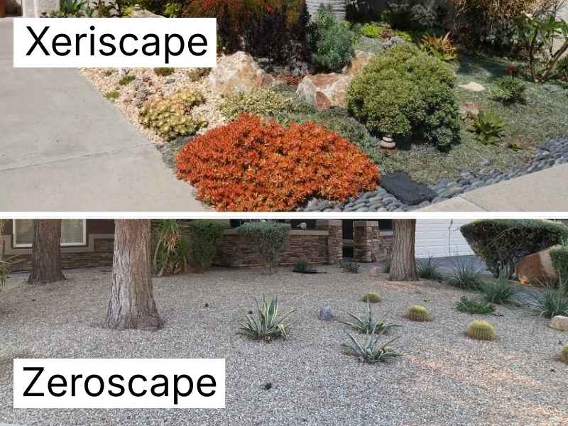 Side-by-side comparison showing a xeriscaped yard with gravel and drought-tolerant plants on the left versus a zeroscaped yard with bare gravel and few plants on the right