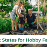 2026’s Best States for Hobby Farms A gardener shows two children how to plant tomatoes in the backyard