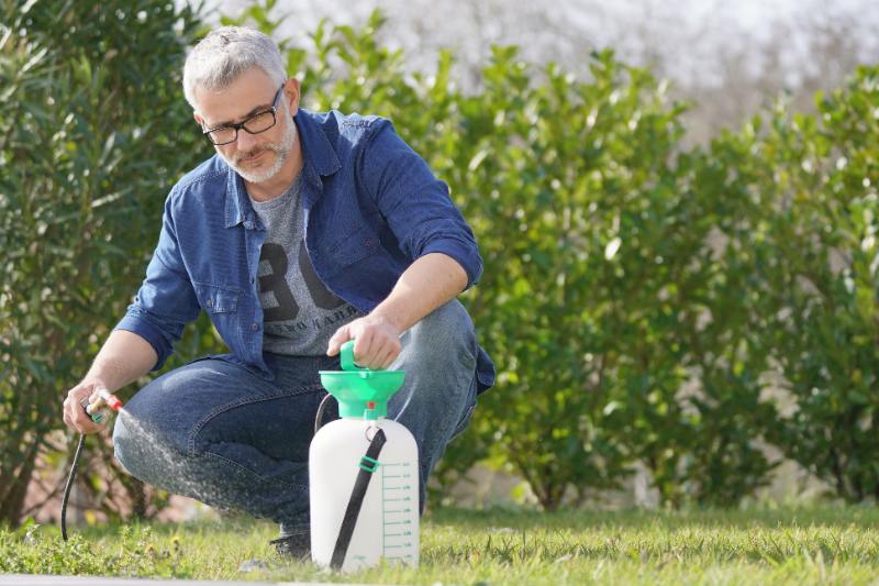 A middle-aged man with gray hair and glasses crouches on a lawn while using a handheld pump sprayer, with green shrubs in the background.