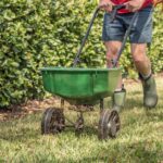 Late Summer Lawn Fertilizer: How It Helps Your Lawn A man in rubber boots pushing a green broadcast spreader across a residential lawn, dispersing grass seed or fertilizer granules near a trimmed shrub border on a sunny day.