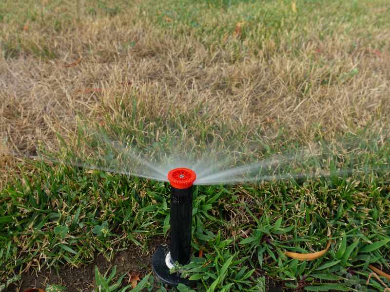 A close-up of an automatic pop-up sprinkler head spraying water over a lawn with patches of drought-stressed brown and dying grass surrounding healthy green turf near the sprinkler.