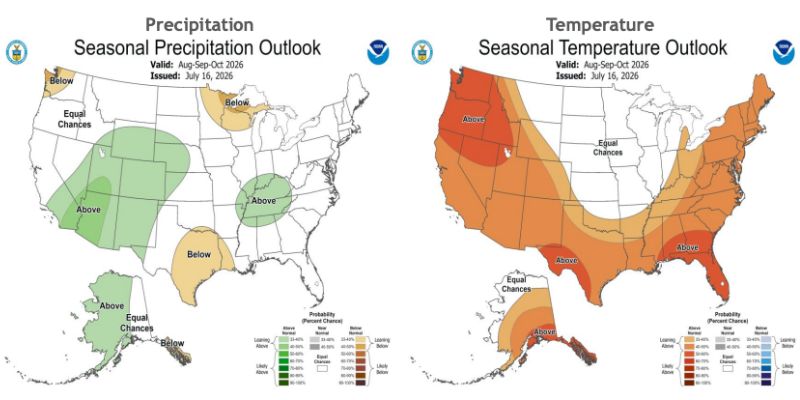 Two side-by-side NOAA seasonal outlook maps for August–October 2026 showing precipitation (left) with above-normal chances in the Pacific Northwest and central Plains, below-normal in the Southwest and Southeast, and temperature (right) with above-normal conditions dominating most of the country, especially the West and Southeast.