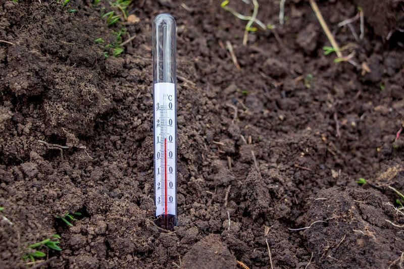 A glass soil thermometer with a Celsius scale is inserted into dark garden soil to measure temperature before planting.