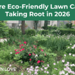 Grow Green: Where Eco-Friendly Lawn Care is Taking Root in 2026 A residential landscape that is part lawn, part native plant and wildflower garden