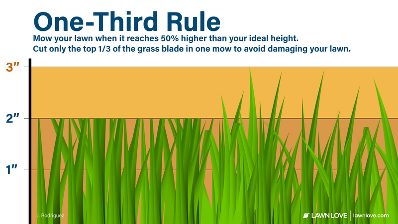 Illustration explaining the one-third rule for mowing grass