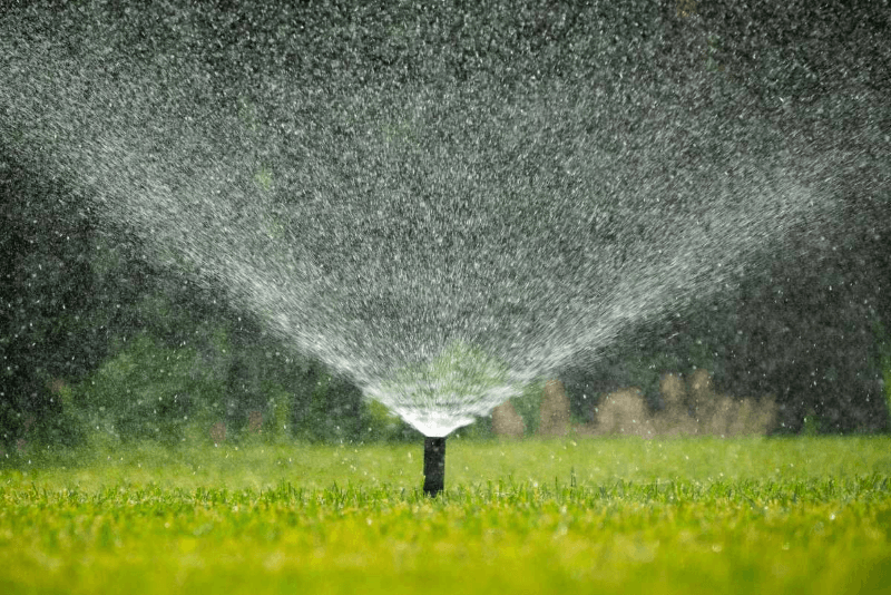 A pop-up lawn sprinkler sprays a wide fan of water droplets over a lush green lawn.