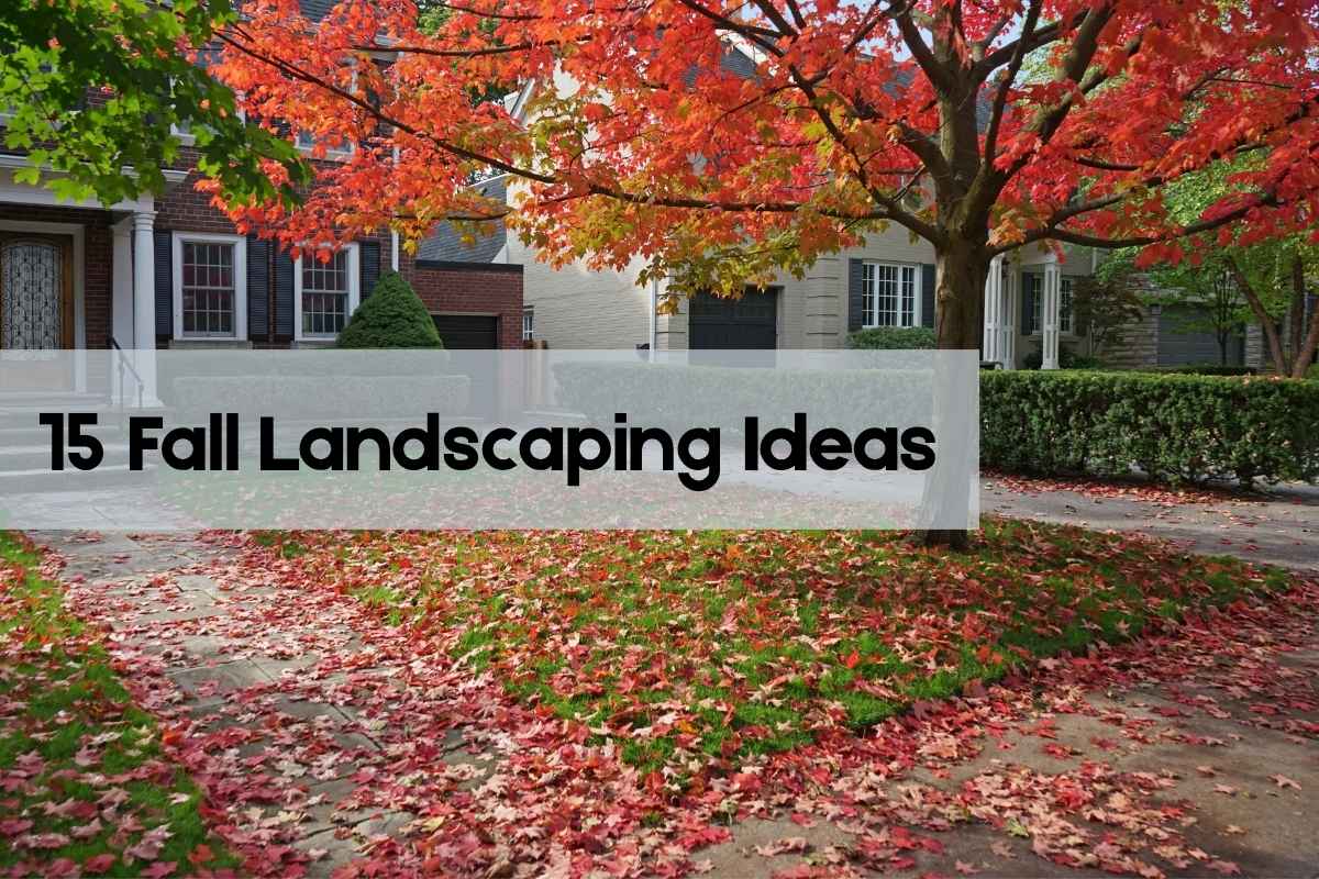 15 Fall Landscaping Ideas to Refresh Your Yard This Season