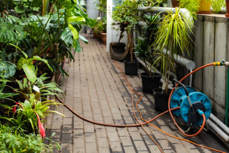 An orange garden hose and an orange cable stretch across a brick pathway in a greenhouse, with a blue hose reel against the wall and tropical plants and potted palms along both sides.