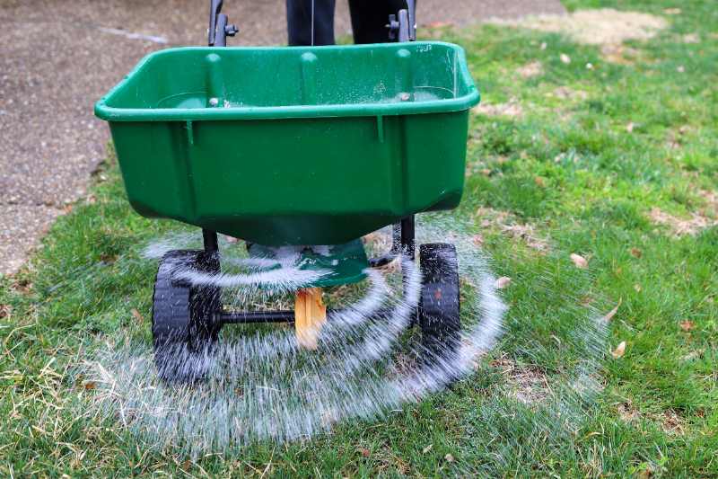 Green push spreader distributing seed and fertilizer in wide circular patterns across a lawn.