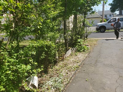 Leaf Removal service in Hartford County, 06001