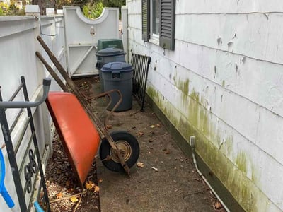 Leaf Removal service in New Haven County, 06471