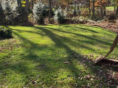 Leaf Removal service in New Haven County, 06471