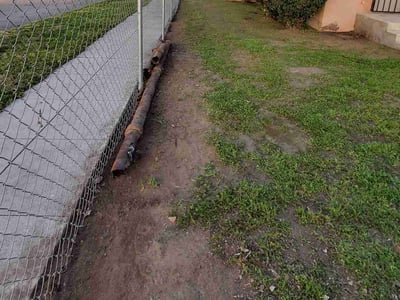 Leaf Removal service in Fresno, 93721